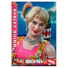 Load image into Gallery viewer, Birds of Prey Harley Quinn 1/6 Scale Figure